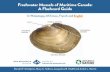 Freshwater Mussels of Maritime ... - New Brunswick Museum · Oceans and the New Brunswick Museum. Special thanks to Ree Brennin Houston, Department of Fisheries and Oceans; Anne Hamilton,