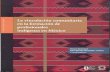 La vinculación comunitaria en la formación de ...publicaciones.anuies.mx/pdfs/libros/Libro245.pdf · vinculación comunitaria intercultural en las primeras décadas del siglo XXI.