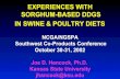 EXPERIENCES WITH SORGHUM-BASED DDGS IN SWINE & … · EXPERIENCES WITH SORGHUM-BASED DDGS IN SWINE & POULTRY DIETS NCGA/NGSPA Southwest Co-Products Conference October 30-31, 2002