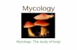 Mycology208.93.184.5/~jones/bio161/mycology.pdf · Mycology Mycology- The study of fungi . Fungi Types • Saprophytes- an organism that feeds on dead organic material or wastes •