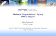 Material Degradation / Aging MAPC Report• Synergetic effects of thermal aging and irradiation aging on degradation of stainless steel welds in reactor internals • MDM , Materials