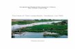 The Case of That Luang Marsh, Vientiane, Lao PDR … · assessment techniques to identify concrete measures for the sustainable management of urban wetland systems. In the mid-1990s