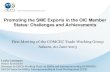 Promoting the SME Exports in the OIC Member States ... · 1. Internationalisation and exports of SMEs: towards a conceptual framework 2. SME export promotion policy: the international