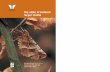 the state of britain’s larger moths · in our youth; this report provides clear evidence this is true for hundreds of different moths. Although the precise causes of these losses