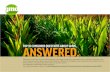 TOP 10 CONSUMER QUESTIONS ABOUT GMOS,ANSWERED. · TOP 10 CONSUMER QUESTIONS ABOUT GMOS,ANSWERED. GMO Answers and the Council for Biotechnology Information conducted a nationwide survey