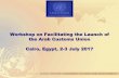 Workshop on Facilitating the Launch of the Arab Customs ... · Presentation outline Part I-Trade Negotiation skills: basics & tools: Introduction The theoretical background Basic