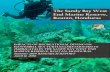 The Sandy Bay West End Marine Reserve, Roatán, Honduras files/ProTECTOR Inc. 2014 National Rep… · 2 IMPACTS OF RECREATIONAL DIVING ON HAWKSBILL SEA TURTLES (ERETMOCHELYS IMBRICATA)