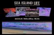 SEA ISLAND LIFE - Firebrand Media LLC · Sea Island Life magazine is a lifestyle publication that celebrates people, places and activities in the Sea Island spirit. ... Dallas, Houston,