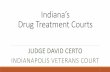 Indiana’s Drug Treatment Courts Court... · 2020-07-15 · gov/reports/api/psc directory 7. Drug Courts 48 certified Drug Courts in Indiana Specialized dockets within Court systems