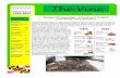 The Vine - University Of Maryland · The HGIC fact sheet on Backyard Composting has some FAQs to trou-bleshoot common issues. Inside this issue: Backyard Composting 1 Maryland Gold-en