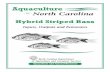 Sources of More Information · 2016-01-12 · Sources of More Information Aquaculture in North Carolina ~ Hybrid Striped Bass Contents ~~~ ... may need more information on the industry