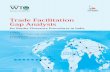 Trade Facilitation Gap Analysiswtocentre.iift.ac.in/Books/Trade Facilitation Gap...WTO Studies; and Mr. Pankaj Agrawal, Director, Ace Global Private Limited. The objective of the Study
