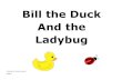 Bill the Duck And the Ladybug - Paths to LiteracyBill the Duck And the Ladybug Created by Deena Recker IESBVI. This is Bill the Duck. He is a yellow duck. Bill is very curious. Bill