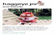 Haggeye Junior issue 1 Summer 2016 - RNIB · Haggeye Jnr is RNIB Scotland’s project for children with sight loss aged 5 to 12 years old. Haggeye Jnrs will organise fun activities