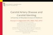 Carotid Artery Disease and Carotid StentingAsymptomatic Carotid Artery Stenosis • SMART Study – 221 patients with followed for 5 years • Oxford Vascular Study – 101 patients