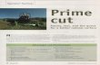 Rotary, reeL,and the quest for a better naturaL surfacesturf.lib.msu.edu/article/2003feb28a.pdf · 2/28/2003  · mower for a bermudagrass, don't use a five-bladed, belt-driven reel