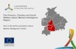 The Preston, Chorley and South Ribble Labour Market ... · Preston, Chorley and South Ribble, 63.3% of the total population. This is just over one quarter (25.3%) of the Lancashire