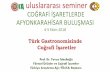 Özyeğin Üniversitesi Gastronomi Sempozyumuyucita.org/uploads/uluslararasietkinlik/afyon2018/Turk...T A Z E M E Y V E L E R •ÜzümlerÇiminüzümü,Ege sultani üzümü,Tarsus