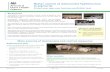 Better control of Salmonella Typhimurium in pig herdsapha.defra.gov.uk/.../salmonella-typhimurium-pig.pdfMost commercial scale pig farms have some Salmonella, but some types, like