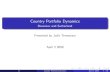 Country Portfolio Dynamics - razin/Country Portfolio DynamicsSLIDES.pdfآ  2008-05-11آ  Country Portfolio