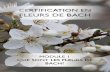 Programme de certification en Fleurs de Bach - …...copyright Que sont les Fleurs de Bach ? Module 1 3 Programme de certification en Fleurs de Bach epésentent un téso immense et
