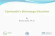 Cambodia’s Bioenergy Situation - Microsoft · 2019-11-27 · Cambodia’s Bioenergy Situation . Total Primary Energy Supply Energy Consumptions by Sector Energy situation in the