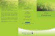 Time Management flyer lime green - Wits University · Time Management DIVISION OF STUDENT AFFAIRS COUNSELLING AND CAREERS DEVELOPMENT UNIT EFFECTIVE TIME MANAGEMENT STRATEGIES ŸPlan