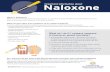 What is Naloxone? What are the signs and symptoms of an ... Naloxone... · Naloxone, also known by the brand name Narcan®, is a drug that reverses the e˜ects of opioids. Naloxone