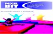Píxel-Bit. Revista de Medios y Educación. 2020 - ISSN ... · fanbullying concept: Critical review of social media harassment Arantxa Vizcaíno-Verdú, Palom a Contreras-Pulido,