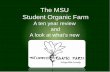 The MSU Student Organic Farm...2002 Vision of year -round CSA funded farm, soil building started, W.K Kellogg grant – 3 more greenhouses built. 2004 50 CSA members, ~ 3 acres, many