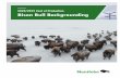 2020/2022 Cost of Production Bison Bull Backgrounding · Bison Bull Backgrounding Production Cost Summary June, 2019. Based on 300 feeders, weight range 480 to 800 lbs, @ 1.45 lbs.