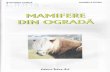 Mamifere din ograda - cdn4.libris.rocdn4.libris.ro/userdocspdf/794/Mamifere din ograda - Stefania Udrea... · IEPURELE (ORYCTOLAGUS CUNICULUS) Iepurele domestic este un mamifer erbivor