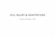 CELL INJURY & ADAPTATIONSmsg2018.weebly.com/uploads/1/6/1/0/16101502/pathology_slides_1… · - Cell injury results when cells are stressed so severely that they are no longer able