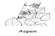 Glacier Alphabet Coloring Pages · Title: Glacier Alphabet Coloring Pages Keywords: A to Z line drawings of plants and animals found in Glacier National Park Created Date: 7/7/2008
