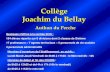 Collège Joachim du Bellayclg-joachim-du-bellay-authon-du-perche.tice.ac-orleans-tours.fr/... · 2019-02-28 · prépare les élèves au niveau A2 en fin de troisième, niveau nécessaire