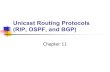 Unicast Routing Protocols (RIP, OSPF, and BGP)RIP...(RIP, OSPF, and BGP) Chapter 11 2 Routing Protocol is combination of rules and procedures lets routers in internet inform each other