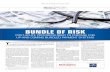 BUNDLE OF RISK - McKnight's Long Term Care Newsmedia.mcknights.com/documents/251/medlinewebinarplus_0716_62… · night’s webinar “Risky business: ˜ nding success in a bundled