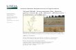 Apera spica-venti WRA - USDA-APHIS...Weed Risk Assessment for Apera spica-venti Ver. 1 September 22, 2016 1 Introduction Plant Protection and Quarantine (PPQ) regulates noxious weeds