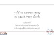 การใช้งานReverse Proxy โดย Squid Proxy เบื้องต้น · 2018-05-13 · Squid Proxy ... server and the proxy server evaluates the request as a