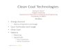 Clean Coal Technologies - University of Delaware...Clean Coal Technologies Michael T. Klein* Rutgers University Department of Chemical and Biochemical Engineering Piscataway, NJ 08854
