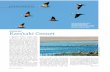 panorama - Stanford Universityweb.stanford.edu/~cagan/2008 Atlas Kuyucuk.pdf · 2008-03-29 · minin anlaşılması on yıl kadar önce kuş gözlemcilerinin yöreye gelmesiyle başlı-yor.
