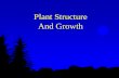 Plant Structure And Growth - instruction2.mtsac.edu 2/Biology 2/Exam 2... · Plant Structure And Growth Author: Mark Joseph Cooper Created Date: 3/25/2020 6:11:48 PM ...