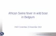 African Swine fever in wild boar in Belgium · 23/11/2018  · African Swine fever in wild boar in Belgium ... •Raising awareness of farmers, hunters and vets . ... Proposal annex