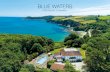 BLUE WATERS - Microsoft · views. Blue Waters enjoys the best of both worlds having an excellent degree of privacy afforded by mature trees, high hedging/ fencing and walled boundaries,