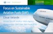 Focus on Sustainable Aviation Fuels (SAF) · 2019-06-03 · FTG will analyze policy options available to foster the deployment of Sustainable Aviation Fuels (SAF), and produce guidance