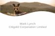 Mark Lynch Citigold Corporation Limited - ASX...Mark Lynch Citigold Corporation Limited 2 “Growth Built on Gold” February 2009 Citigold Corporation Limited 3 1. Current Statistics