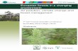 European forests in a changing environment: Air pollution, climate change and forest ... · 2018-07-04 · European forests in a changing environment: Air pollution, climate change
