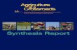 Synthesis Report - FSN Network Report_Agriculture at a...International Assessment of Agricultural Knowledge, Science and Technology for Development Synthesis Report IAASTD 00-fm SR.indd