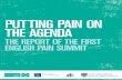 PUTTING PAIN ON THE AGENDA · Putting Pain on the Agenda: The Report of the First English Pain Summit 3 Key Recommendations A Clear standards and criteria must be agreed and implemented