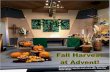 Pumpkins from Halloween carving, vegetables from Pastor’s … · 2018-12-01 · Pumpkins from Halloween carving, vegetables from Pastor’s garden and some gifts from the Food Closet.